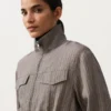 Gestrepte Saharan-Jasse Gestrepte Saharan-Jasse